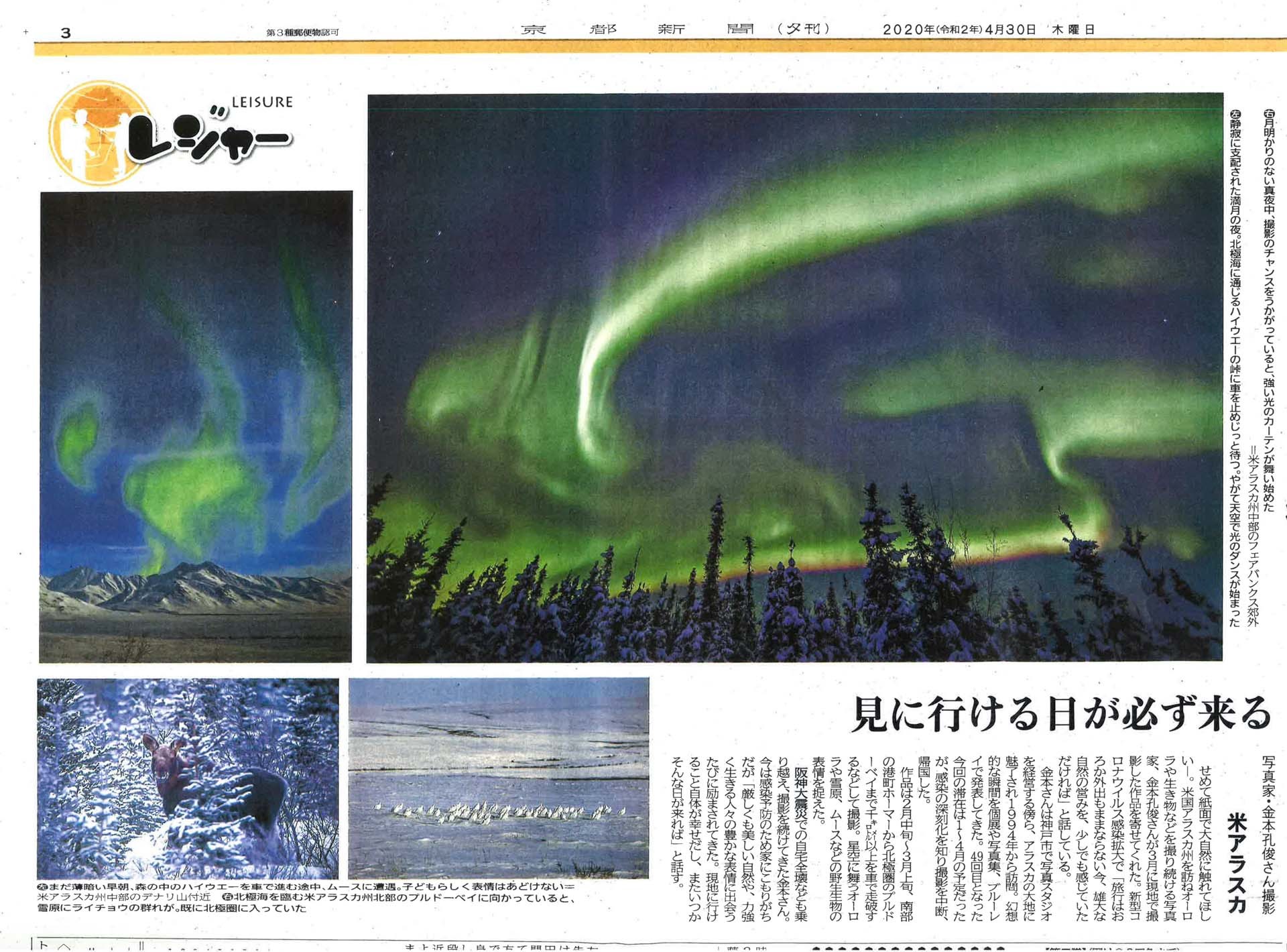アラスカ写真家・金本孔俊さん - オーロラの写真が新聞に掲載されました！_b0135948_08080793.jpg