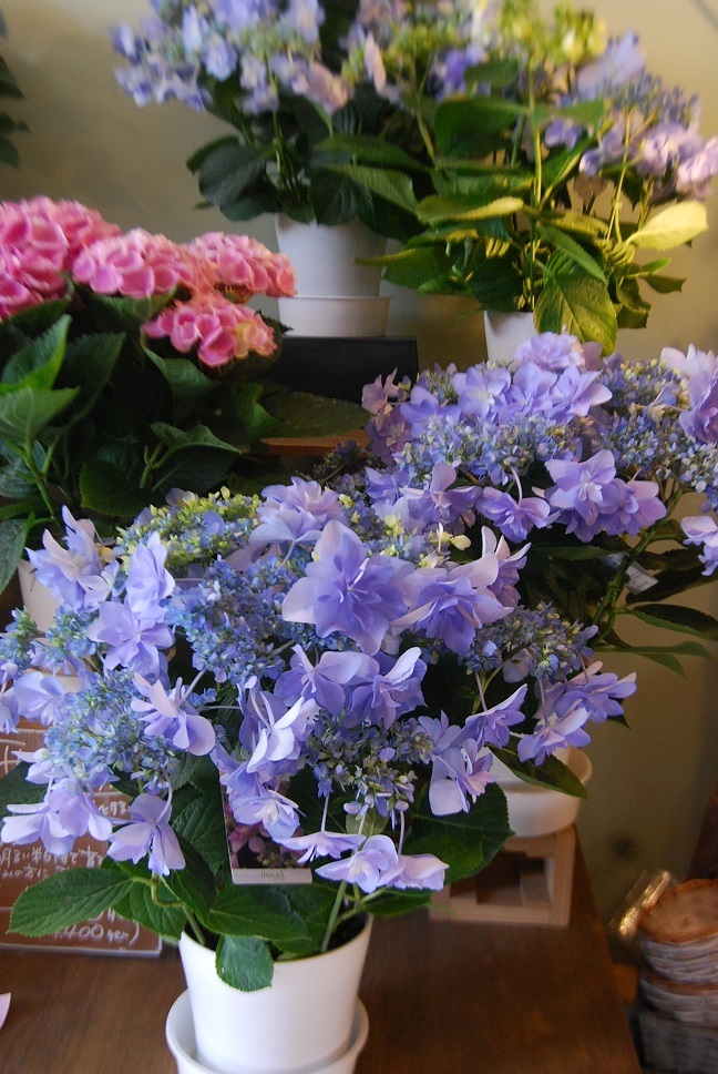 5月は母の月です。_a0201358_18005487.jpg