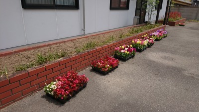 (公社)名古屋清港会さんに花鉢の販売を行いました!R2.5.12_d0338682_17012998.jpg