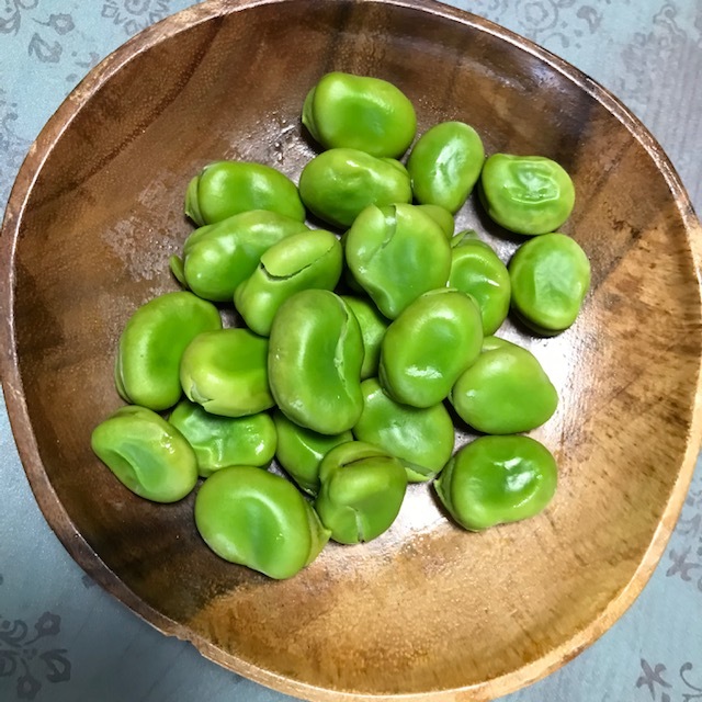 ソラマメ_f0204295_12244562.jpg