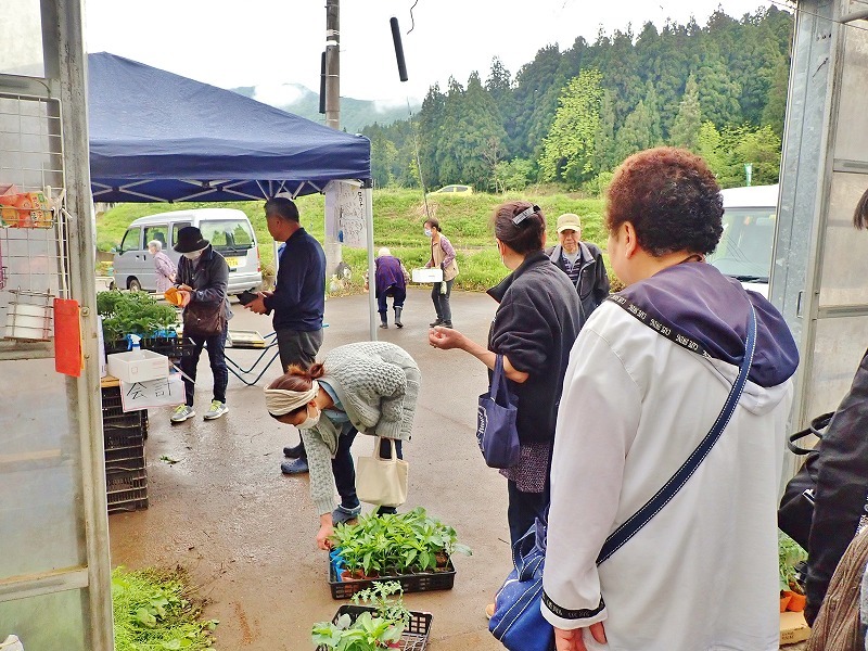 兼業農家は家庭菜園の苗を購入し定植をしました_c0336902_20031714.jpg