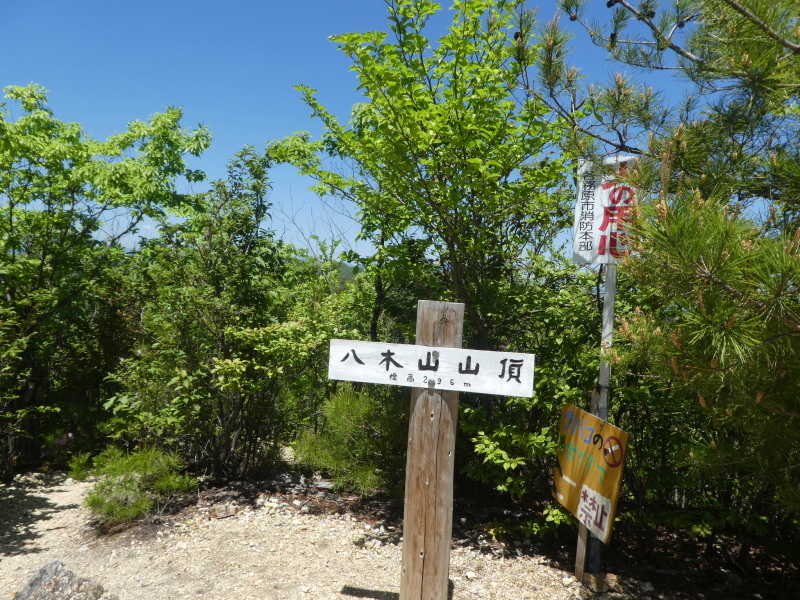 花の八木山 (296M)   登頂 編　part 2_d0170615_20140821.jpg