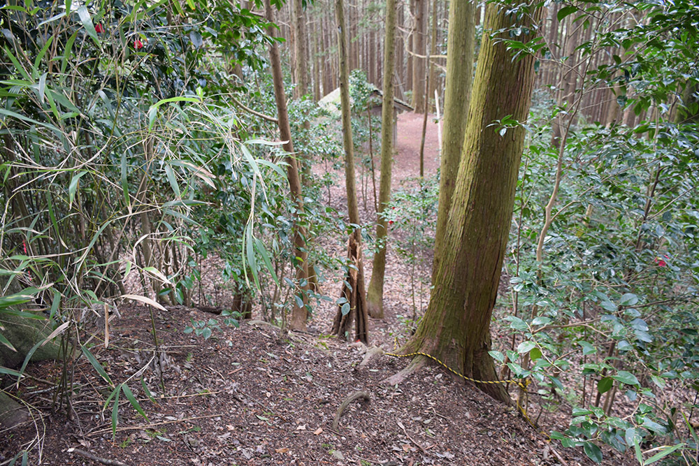 丹波の名族足立氏の居城、山垣城跡。 その2 <曲輪群>_e0158128_16213798.jpg