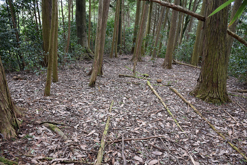 丹波の名族足立氏の居城、山垣城跡。 その2 <曲輪群>_e0158128_16273405.jpg