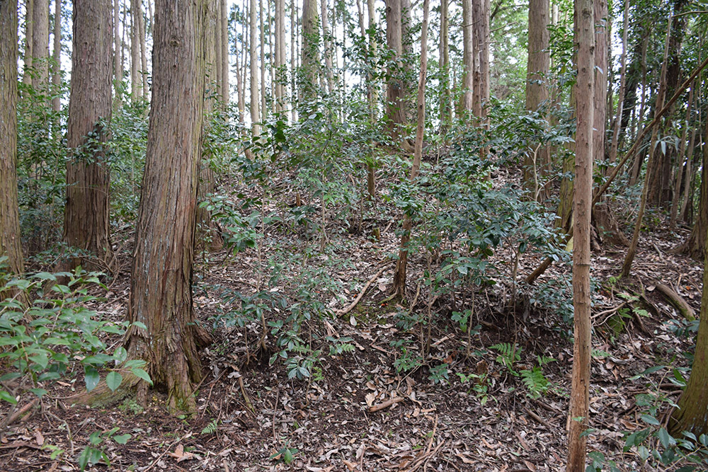 丹波の名族足立氏の居城、山垣城跡。 その2 <曲輪群>_e0158128_16273922.jpg