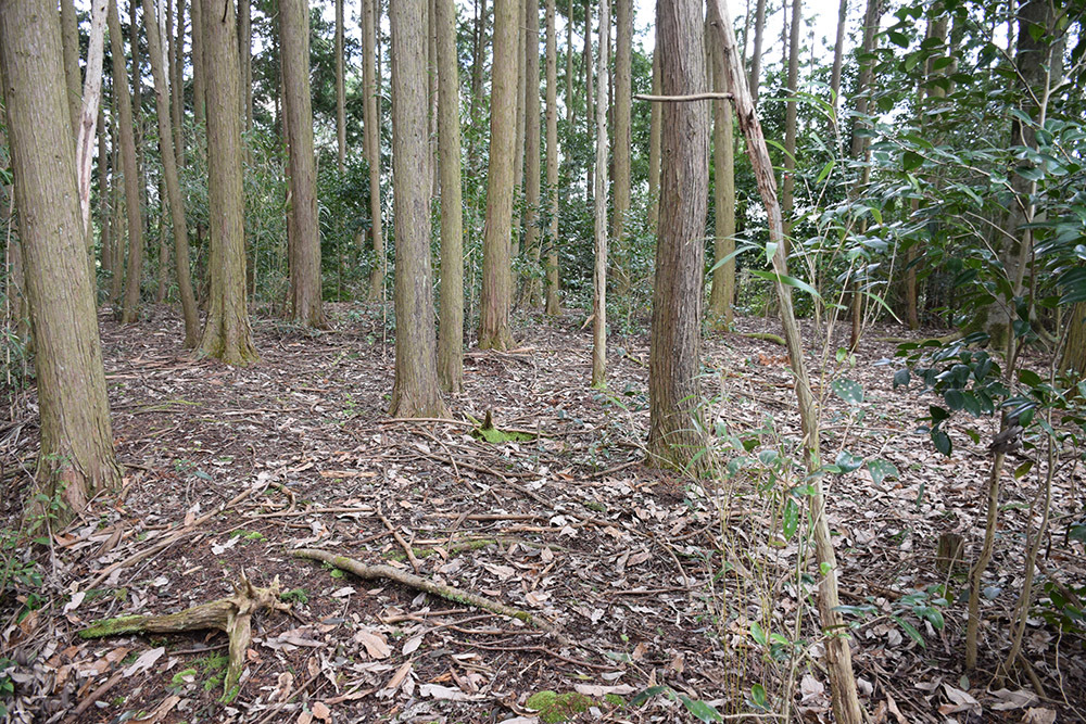 丹波の名族足立氏の居城、山垣城跡。 その2 <曲輪群>_e0158128_16311793.jpg