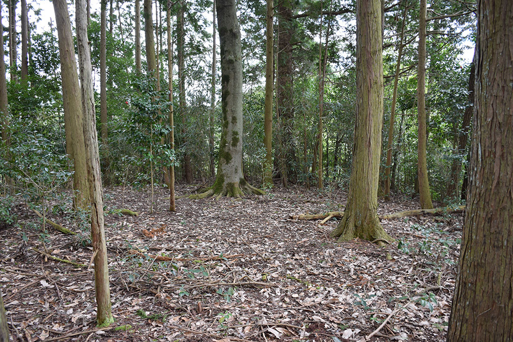 丹波の名族足立氏の居城、山垣城跡。 その2 <曲輪群>_e0158128_16312086.jpg