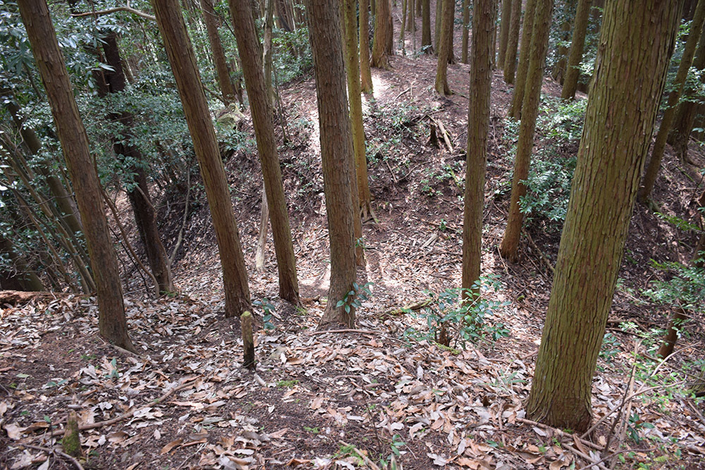 丹波の名族足立氏の居城、山垣城跡。 その2 <曲輪群>_e0158128_16353405.jpg