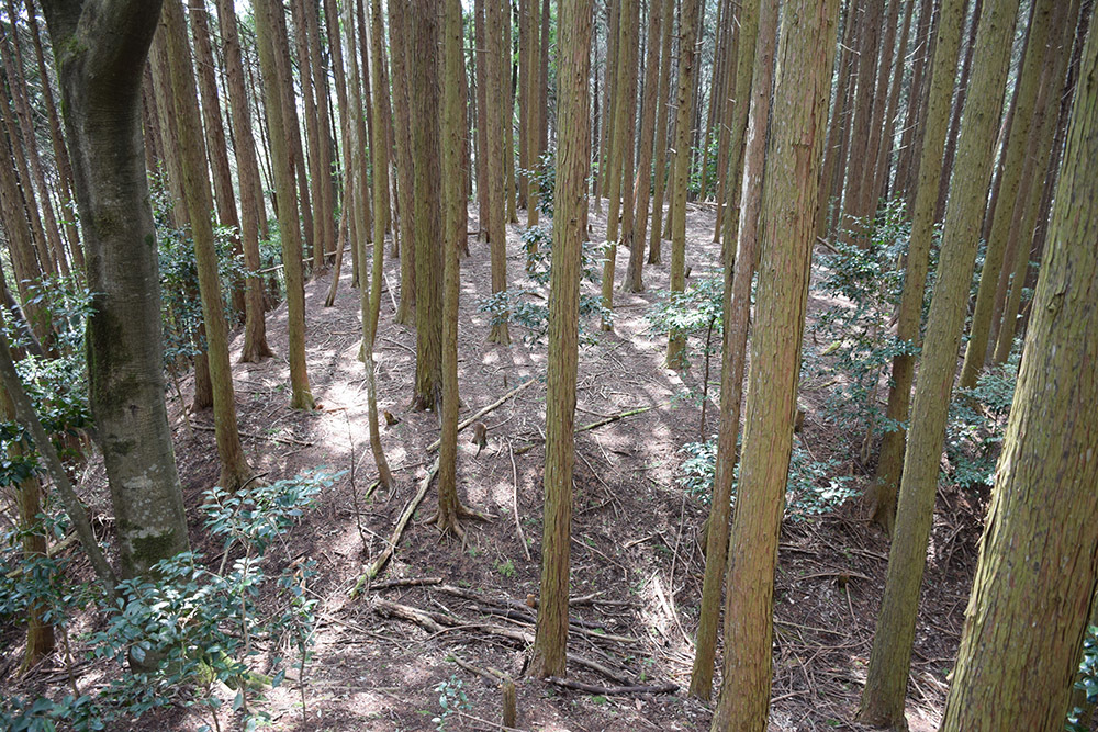 丹波の名族足立氏の居城、山垣城跡。 その2 <曲輪群>_e0158128_16390177.jpg