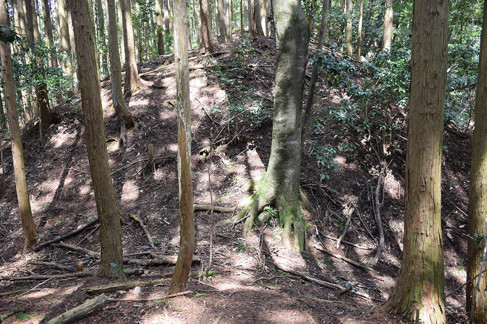丹波の名族足立氏の居城、山垣城跡。 その2 <曲輪群>_e0158128_16405961.jpg
