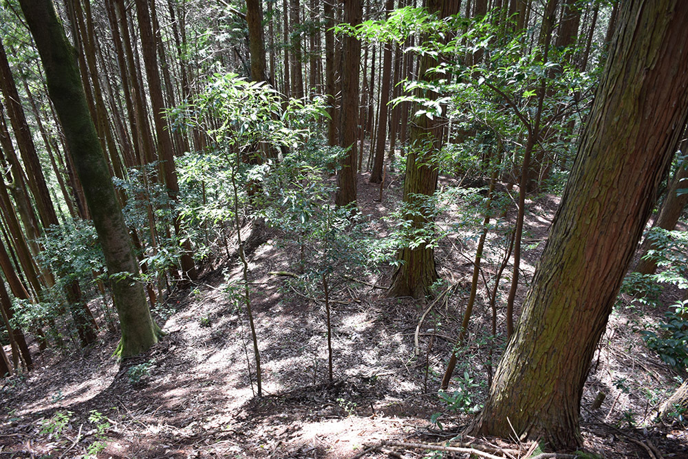 丹波の名族足立氏の居城、山垣城跡。 その2 <曲輪群>_e0158128_16534834.jpg