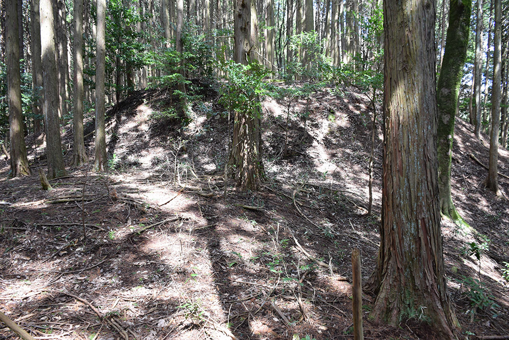 丹波の名族足立氏の居城、山垣城跡。 その2 <曲輪群>_e0158128_16553047.jpg