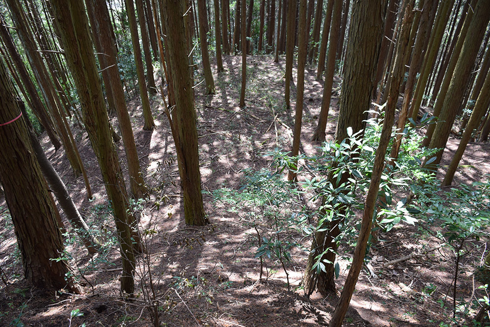 丹波の名族足立氏の居城、山垣城跡。 その2 <曲輪群>_e0158128_16570139.jpg