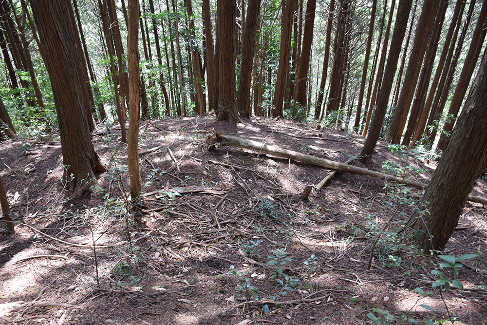 丹波の名族足立氏の居城、山垣城跡。 その2 <曲輪群>_e0158128_16593345.jpg