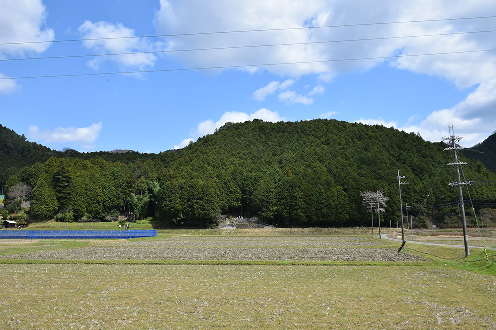 丹波の名族足立氏の居城、山垣城跡。 その2 <曲輪群>_e0158128_17035580.jpg