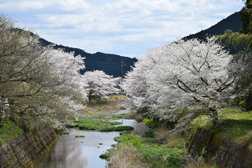 丹波の名族足立氏の居城、山垣城跡。 その2 <曲輪群>_e0158128_17035764.jpg