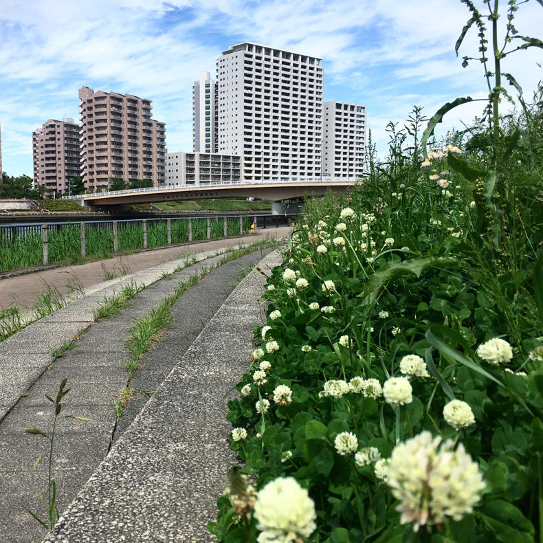 川沿いを歩いて浅草へ_c0060143_10233497.jpg