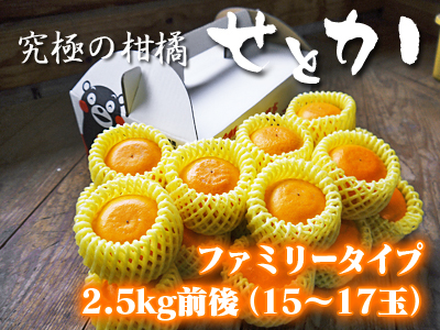 究極の柑橘「せとか」今年も完売御礼！来年の収穫に向けて花と花芽剪定そして現在の着果の様子 _a0254656_15322664.jpg