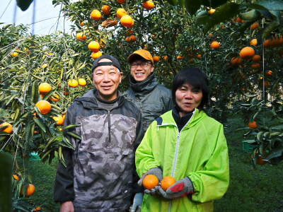 究極の柑橘「せとか」今年も完売御礼!そして次のせとかの栽培はすでに始まっています!花と花芽剪定の様子_a0254656_18534837.jpg