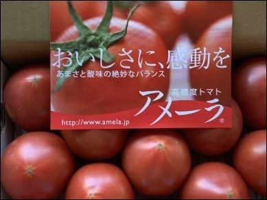 5月はいろいろ_b0300759_08312215.jpeg