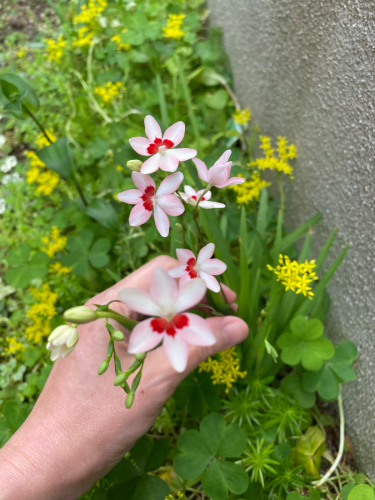 衣替えや、網戸の張り替え。_e0136066_10254985.jpg