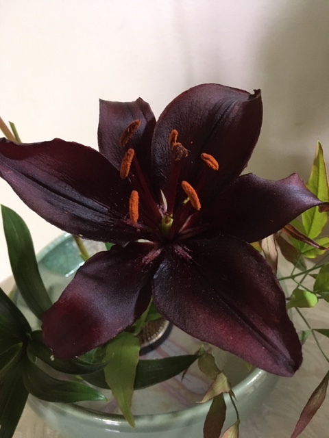 庭にある花で生け花を試みる_e0350971_23521528.jpg
