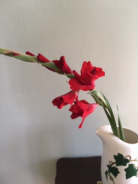 庭にある花で生け花を試みる_e0350971_23561950.jpg