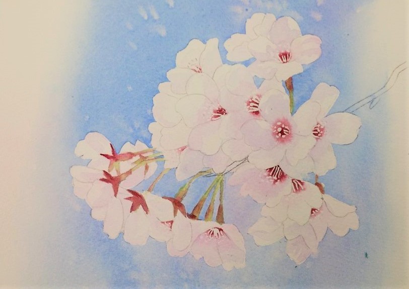 啓子おばさんの水彩レッスンⅣ桜の描き方 : 小林啓子水彩画の部屋 啓子おばさんの水彩レッスンⅣ桜の描き方 : 小林啓子水彩画の部屋