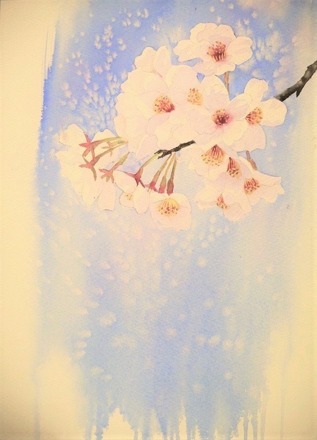 啓子おばさんの水彩レッスンⅣ桜の描き方 : 小林啓子水彩画の部屋 啓子おばさんの水彩レッスンⅣ桜の描き方 : 小林啓子水彩画の部屋