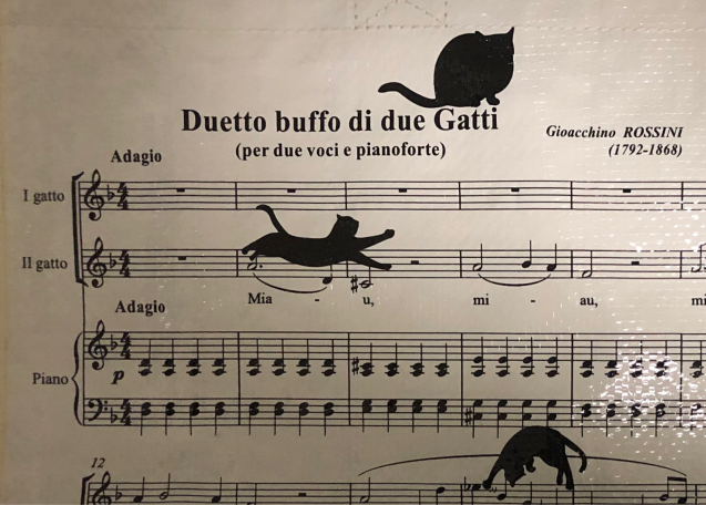 Duetto buffo di due Gatti : 浅野美帆子の”うふふ”