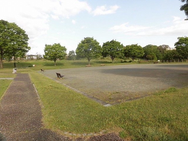 朝日も徐々に強くなり、陽焼けで黒くなりました 朝の散歩「原田公園コース」_f0141310_07424470.jpg