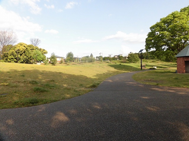 朝日も徐々に強くなり、陽焼けで黒くなりました 朝の散歩「原田公園コース」_f0141310_07431247.jpg