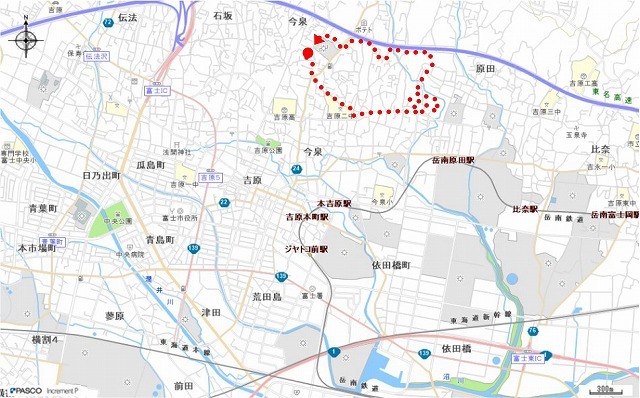朝日も徐々に強くなり、陽焼けで黒くなりました 朝の散歩「原田公園コース」_f0141310_07441681.jpg