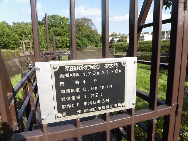朝日も徐々に強くなり、陽焼けで黒くなりました 朝の散歩「原田公園コース」_f0141310_07443464.jpg
