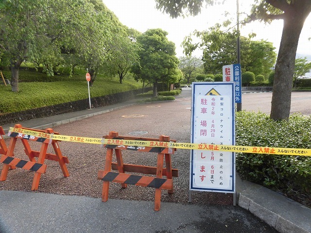 朝日も徐々に強くなり、陽焼けで黒くなりました 朝の散歩「原田公園コース」_f0141310_07452826.jpg