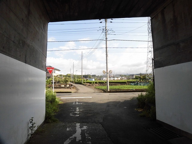 朝日も徐々に強くなり、陽焼けで黒くなりました 朝の散歩「原田公園コース」_f0141310_07455623.jpg