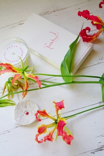 あのひとの好きなお花&お知らせ_b0151911_21364733.jpg