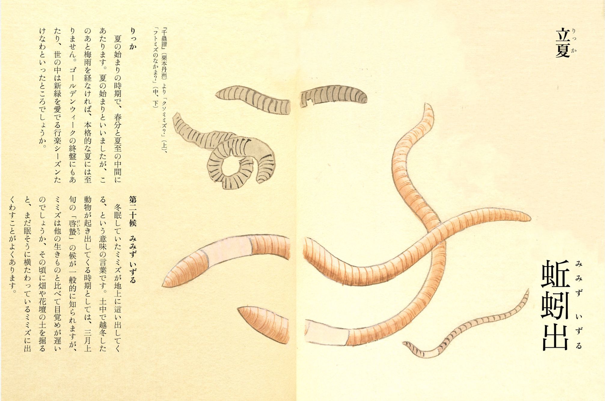 立夏も末候_c0025115_22512391.jpg