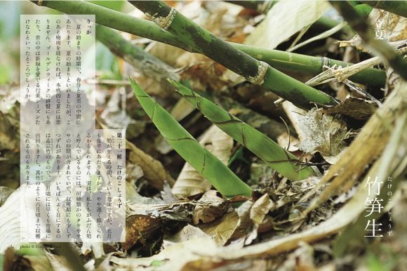立夏も末候_c0025115_22513278.jpg
