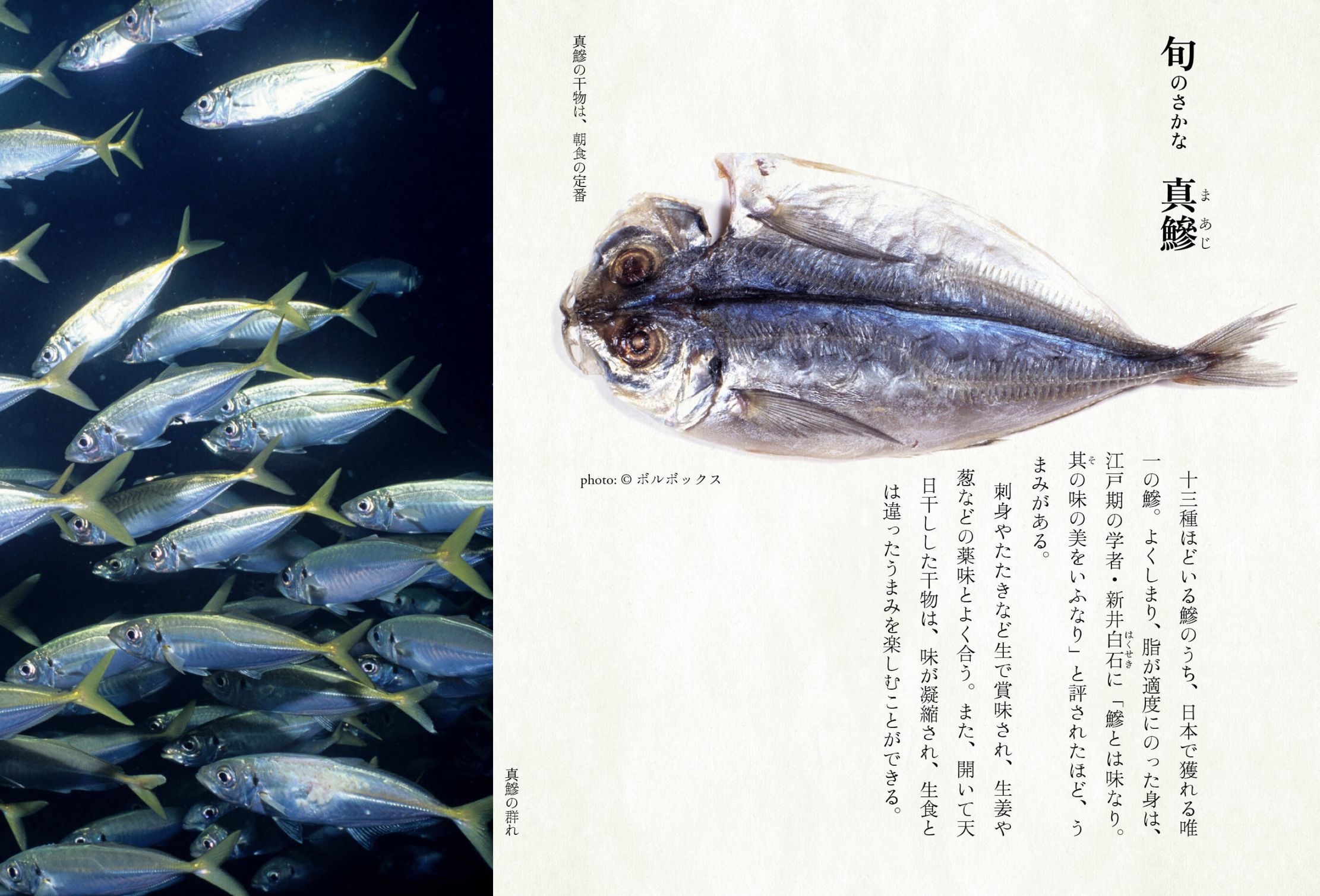 立夏も末候_c0025115_22544647.jpg
