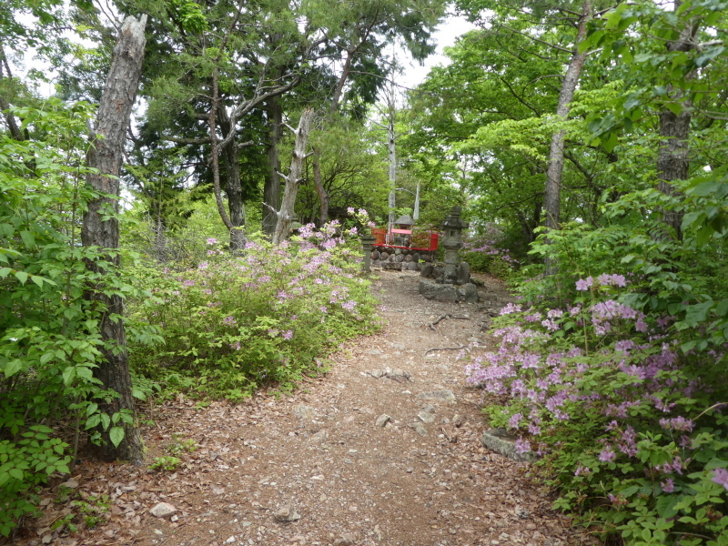 花の明王山 (380M)   金比羅山 編 prat 1_d0170615_20362794.jpg