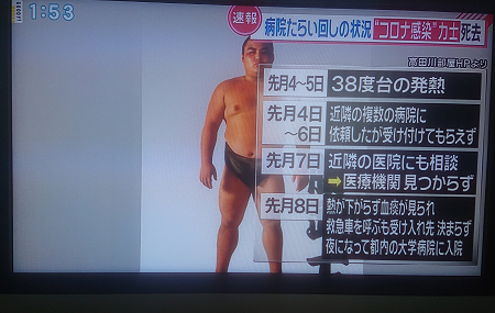 PCR検査へのバックラッシュ - PCR検査しない体制と国策はなお続く_c0315619_15005369.png