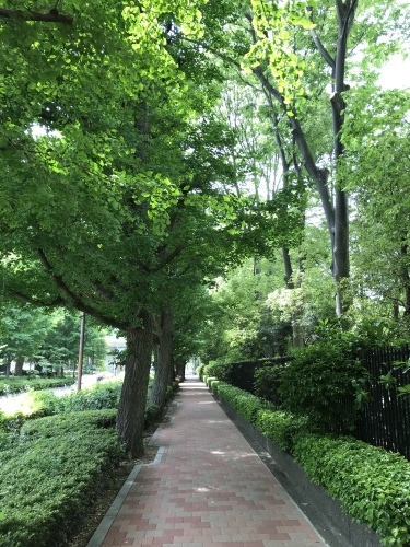 休業日ブログ・その36_e0195325_18492951.jpeg