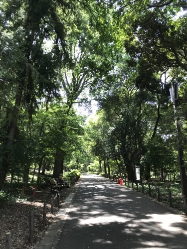 休業日ブログ・その36_e0195325_18501704.jpeg