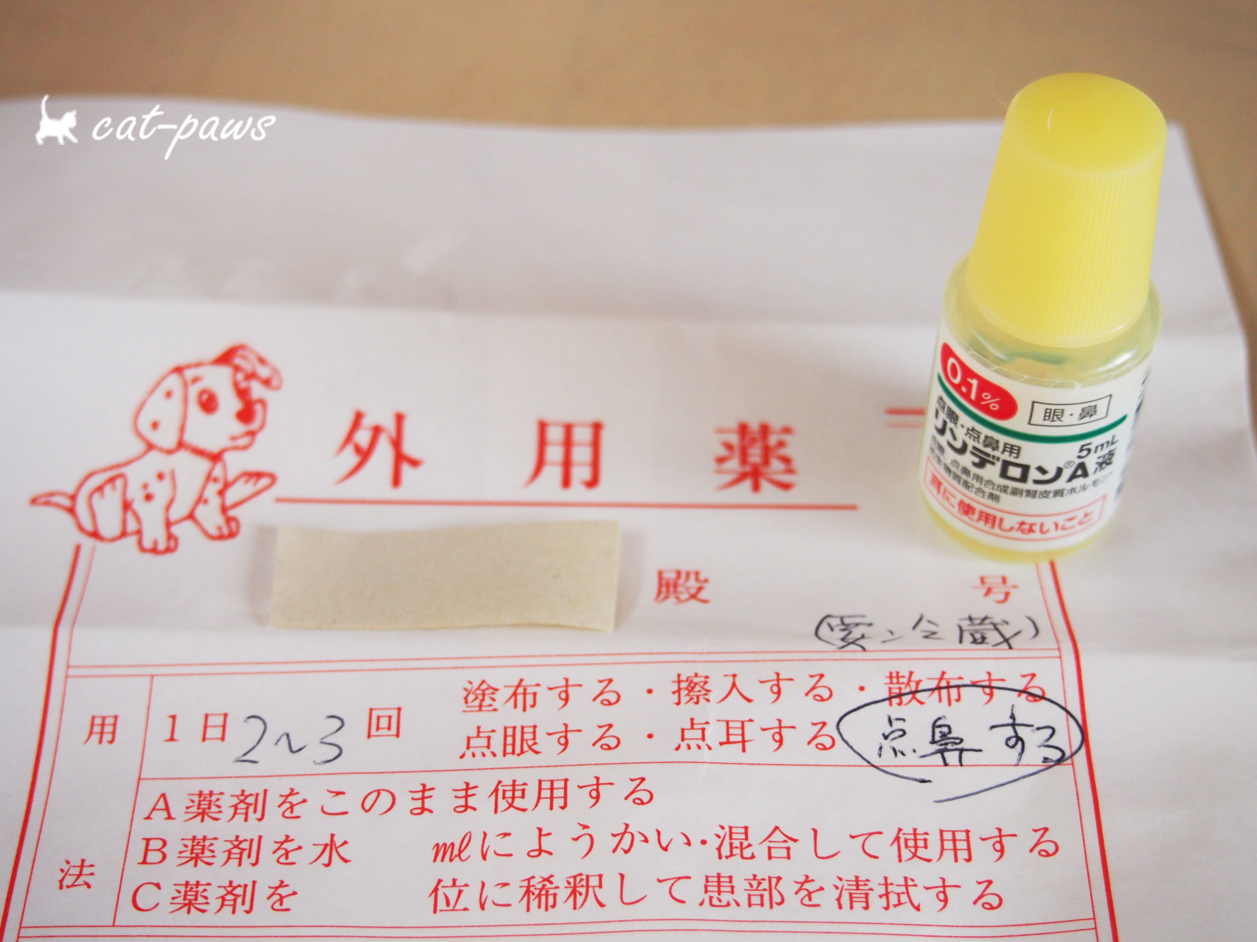 絶対無理!_c0354231_13043824.jpg