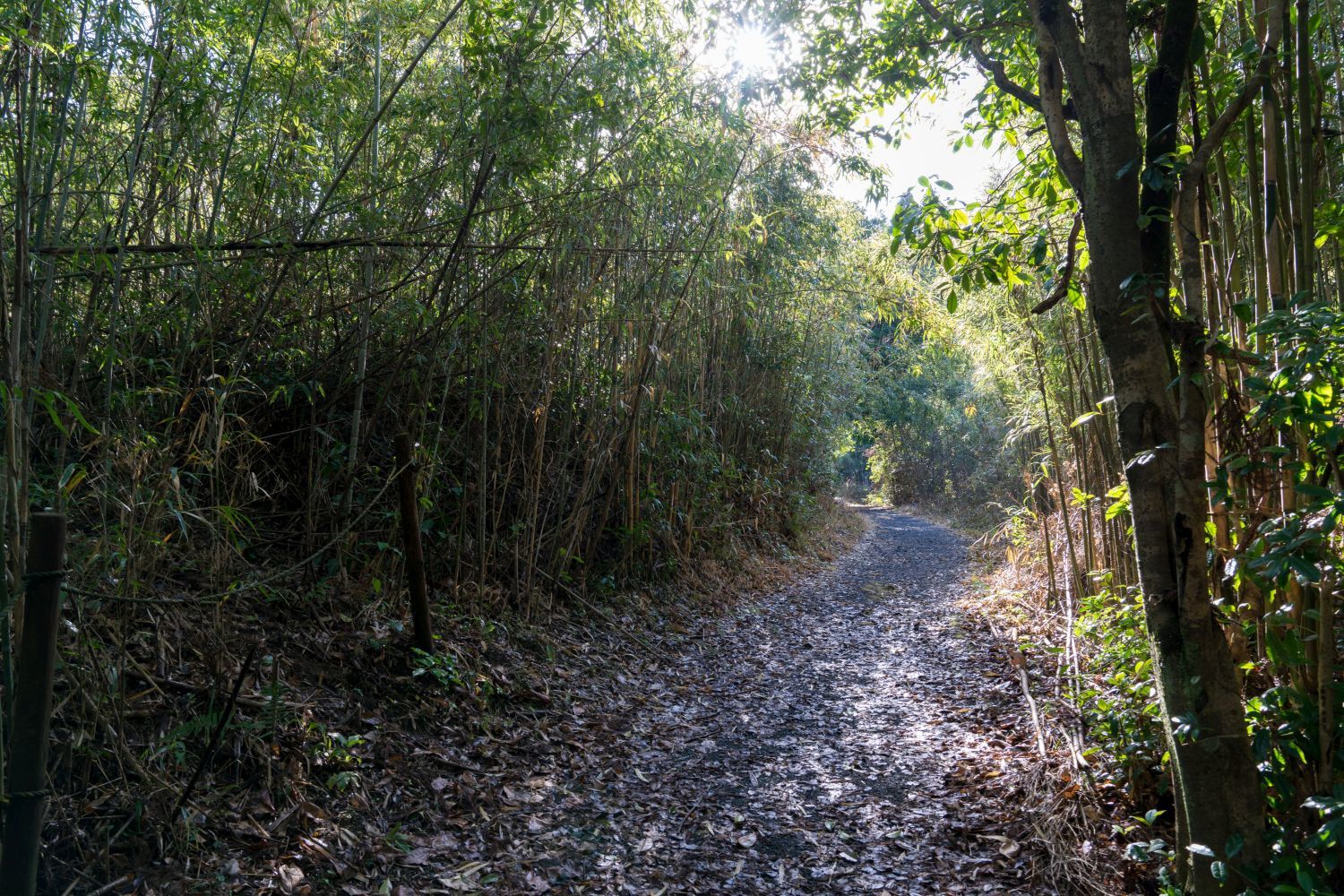 【世界遺産・史跡】 寺山炭窯跡 (鹿児島県 鹿児島市) 行き方、見学のしかた_b0212342_11332075.jpg