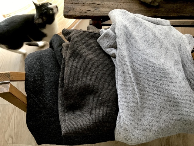 外出用の服の始末は簡単だった_d0101846_08013478.jpeg