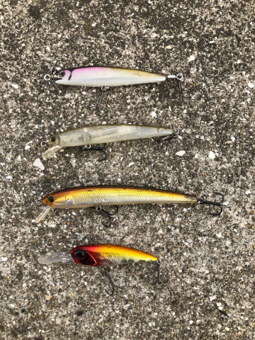 DAIWA / STEEZ SKYRAY 後編 : 熊本のバスを釣ろう DAIWA / STEEZ SKYRAY 後編 : 熊本のバスを釣ろう