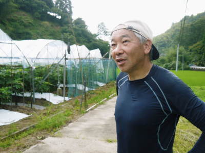 山あいの南高梅(青梅・完熟梅)令和2年度よりの出荷中止のお知らせ_a0254656_20060493.jpg