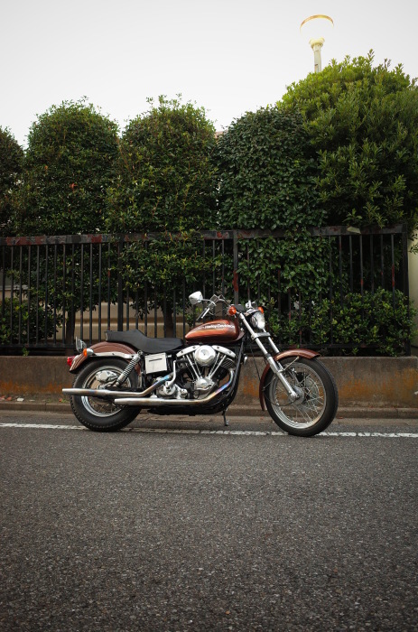 1976FXE1200 Hさんのショベルインプレッション : Vintage